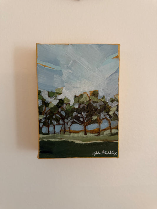 Mini countryside landscape